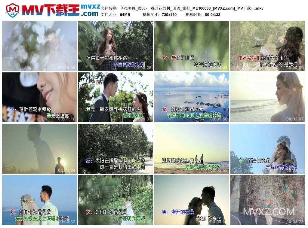 乌拉多恩_梁凡-一棵开花的树_国语_流行_ME100068